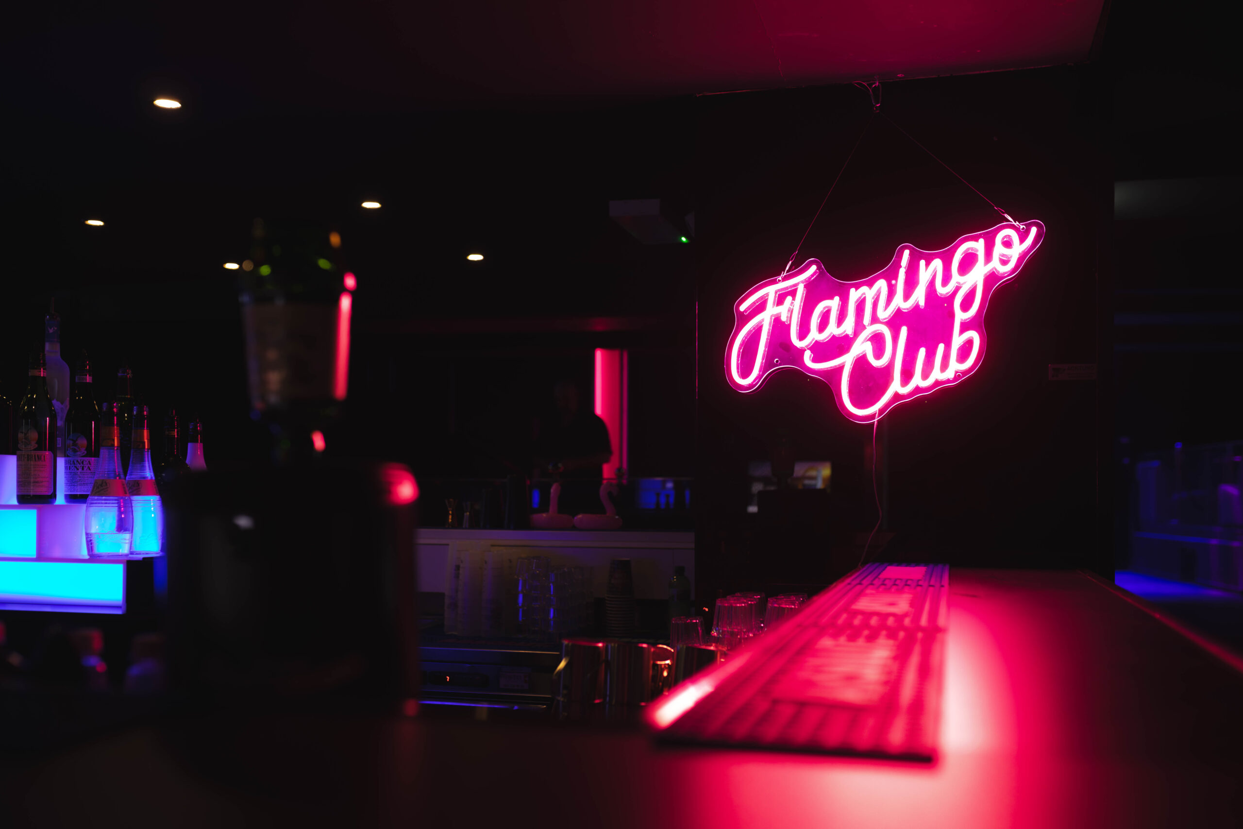 flamingo1